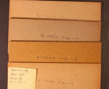 Media type: image;   Herpetology R-195515 documents cataloged_item R-195516 documents cataloged_item R-195517 documents cataloged_item R-195518 Description: Digital photo of Bellairs box to document exterior text;